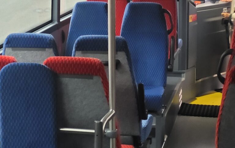 Some seats colored in different color - this is sets for some category of peoples