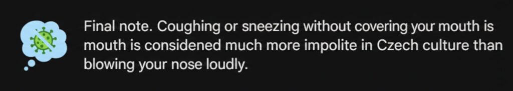 Czech Culture accept loud nose blowing but not accept a couching without covering mouth