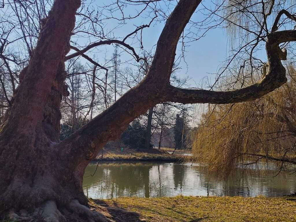 Early spring in the Lednice park