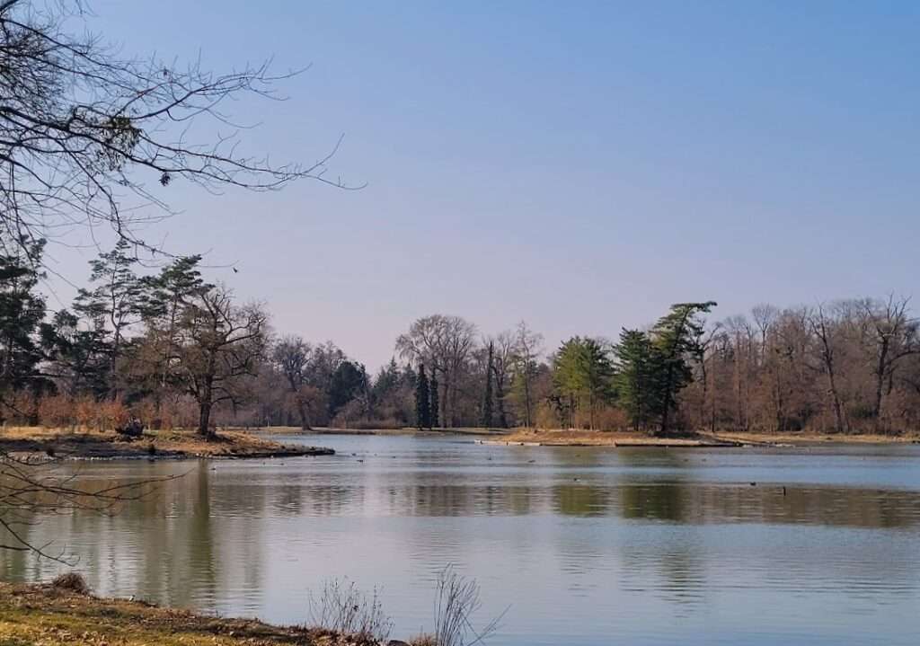 In a few weeks trees will be covered with leafs